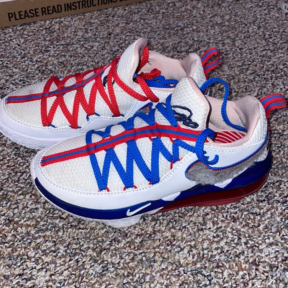 Lebron Tune squad basketball shoes
